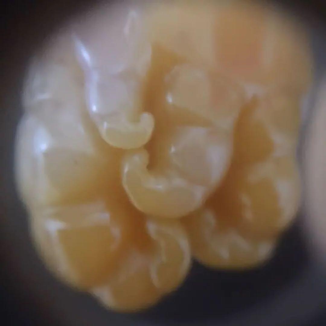 中国壽山田黄石