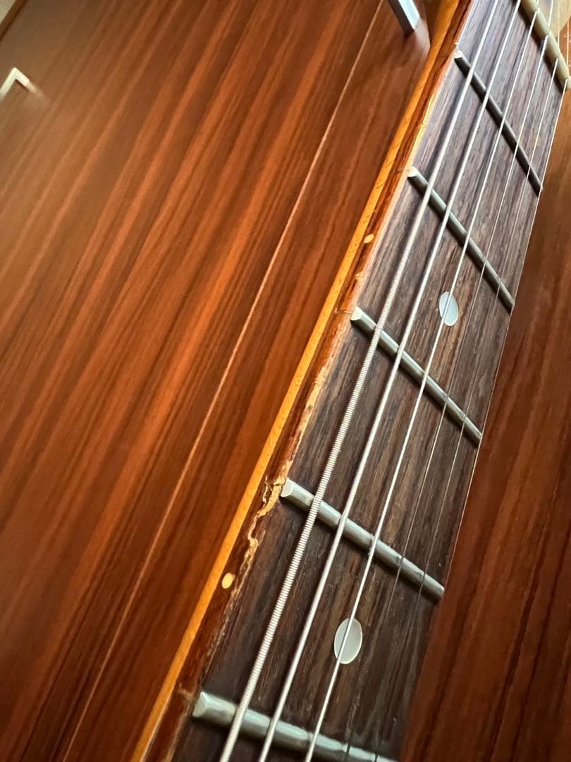 TOKAI Talbo 東海楽器タルボ アルミギター glay hisashi