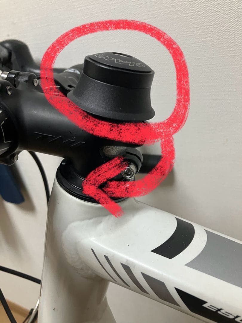 S*t様 GIANT RX3-L（希少ロードバイク 仕様）