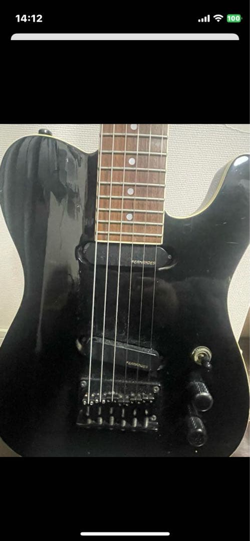 早い者勝ち FERNANDES mini TEJ