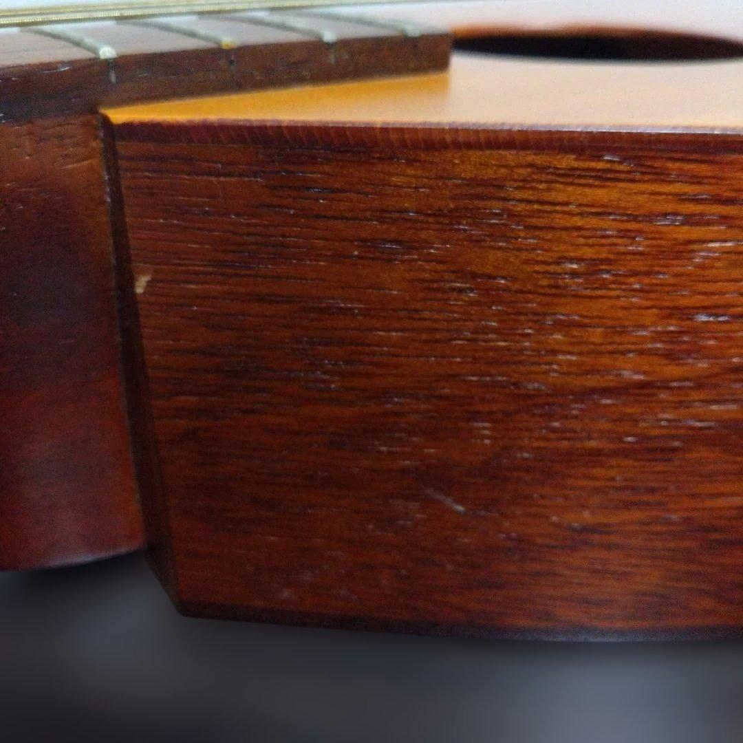 楽器　一五一会　弾き方ビデオ付き