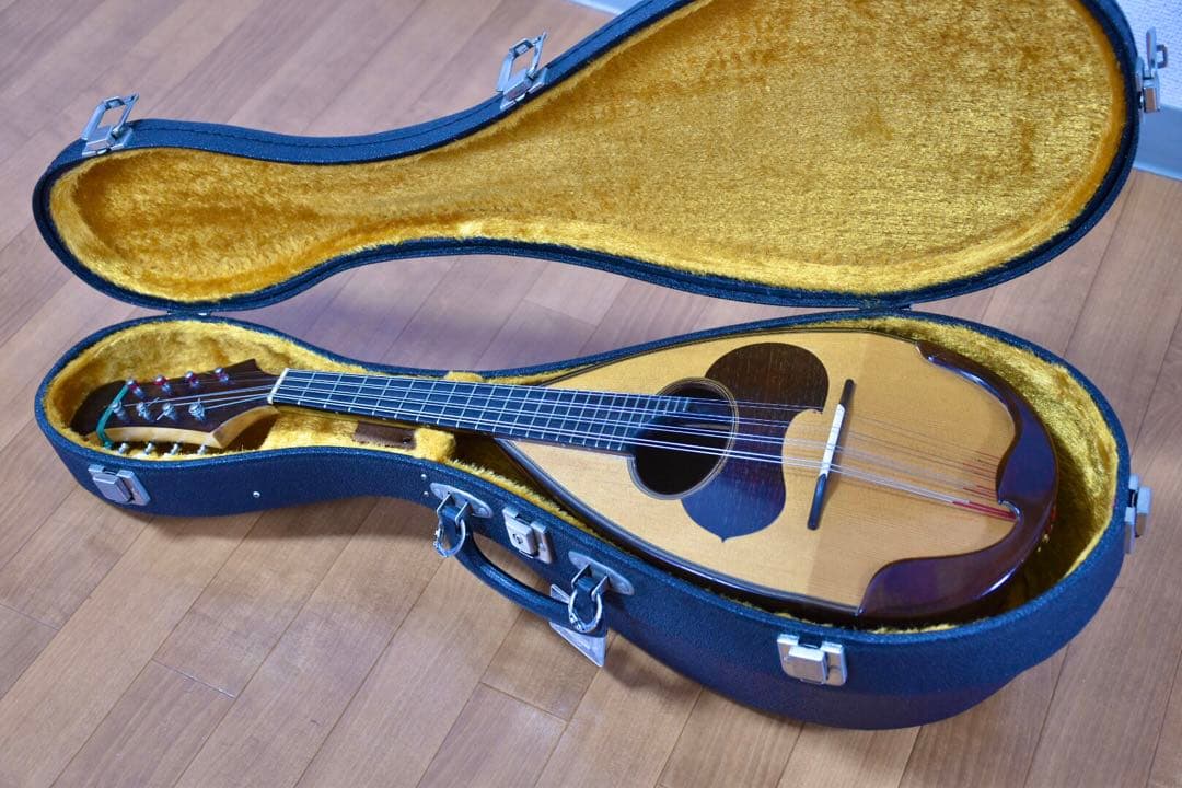 落合忠男 マンドリン 1979年 ハードケース付