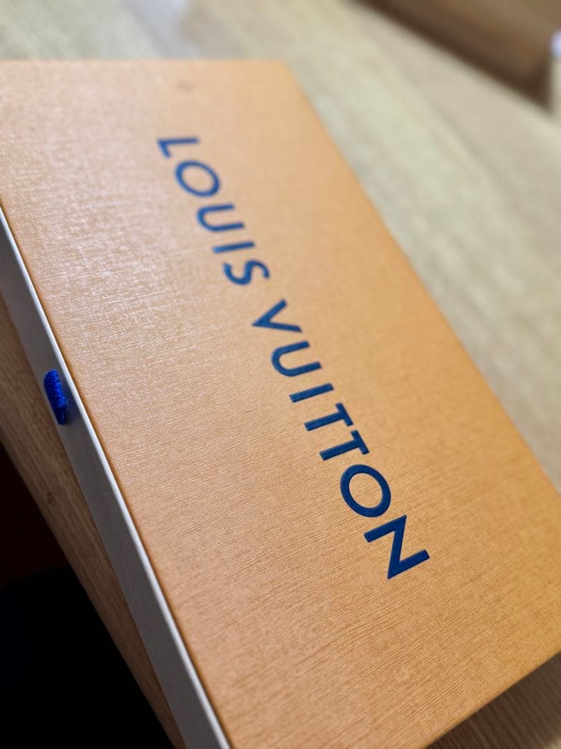 Louis Vuitton M7737I グローブ・LV ブラゾン