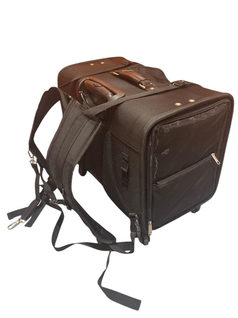 【TAKE ME】Lサイズ 犬用キャリーバッグ 中型犬 多頭飼い 新幹線OK