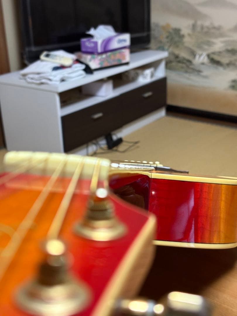 Cooler by Takamine アコースティックギター　TCP-480