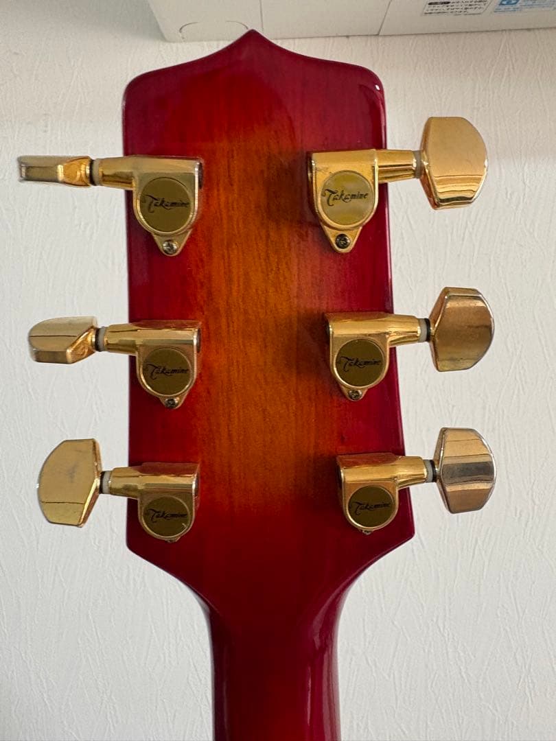 Cooler by Takamine アコースティックギター　TCP-480