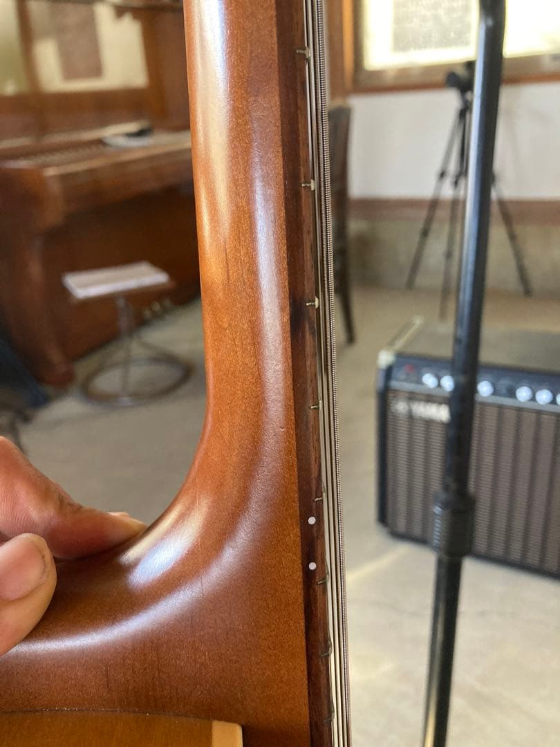 Godin 5th Avenue セミアコースティックギター