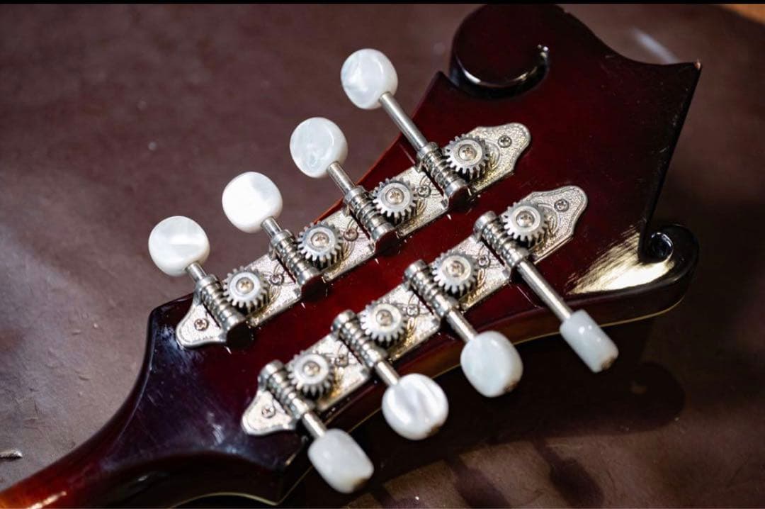 Epiphone　フラットマンドリン　Flatiron Festival F2