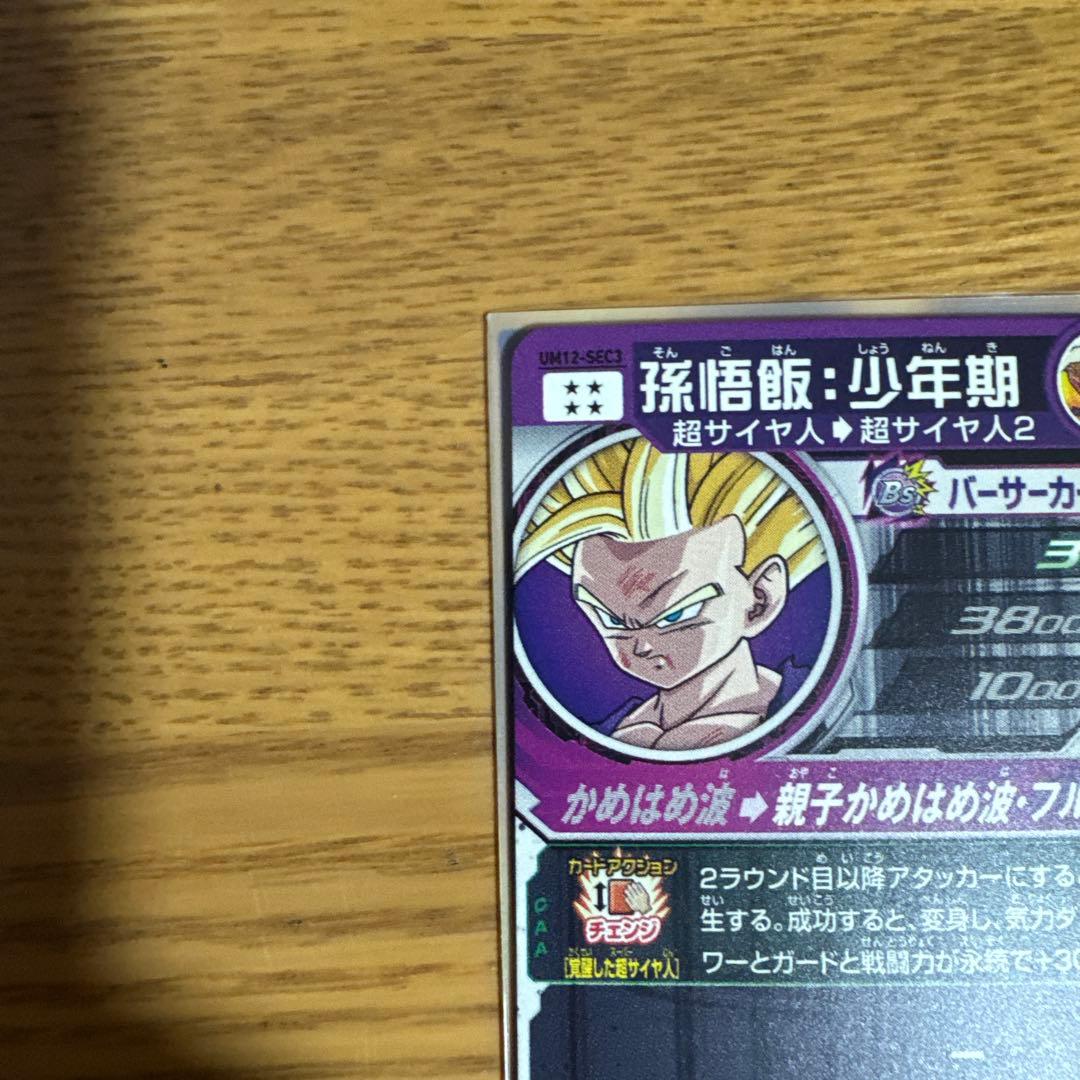 孫悟飯少年期　UM12 SEC3