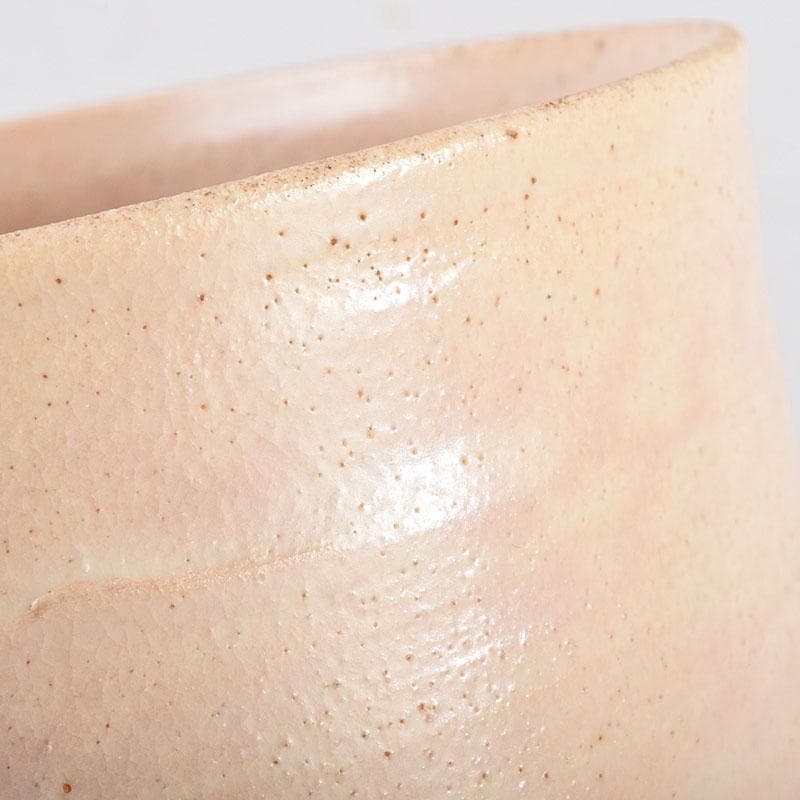 茶道具　志野焼　立鶴絵　茶碗　在銘　時代箱　V　R9374