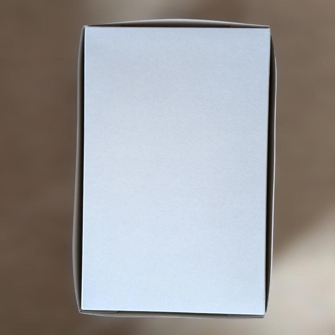 【未組立】MG 1/100 ジム・スナイパーII（リド・ウォルフ機）