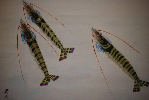 真作/宮尾寿人/車海老/桐共箱付/布袋屋掛軸HC-728