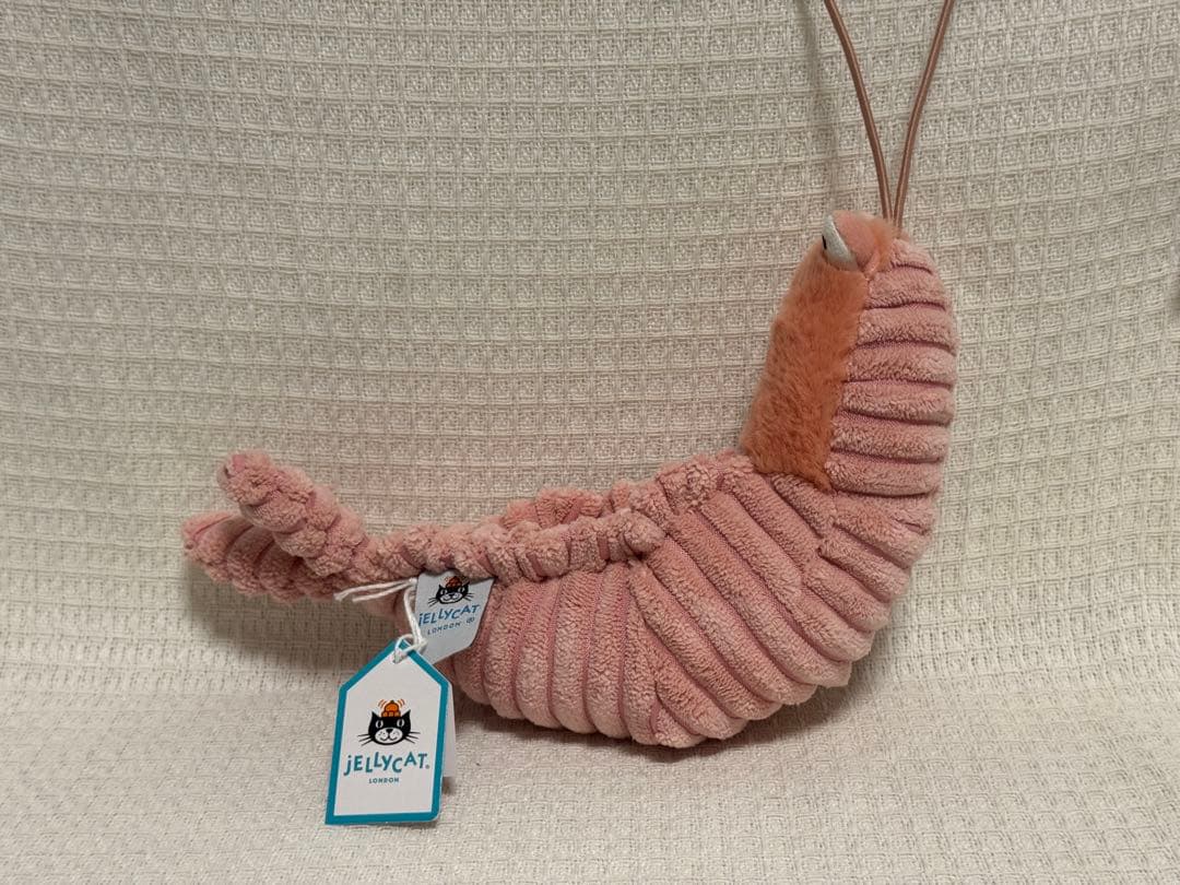  ジェリーキャット シェルドン エビ ぬいぐるみ