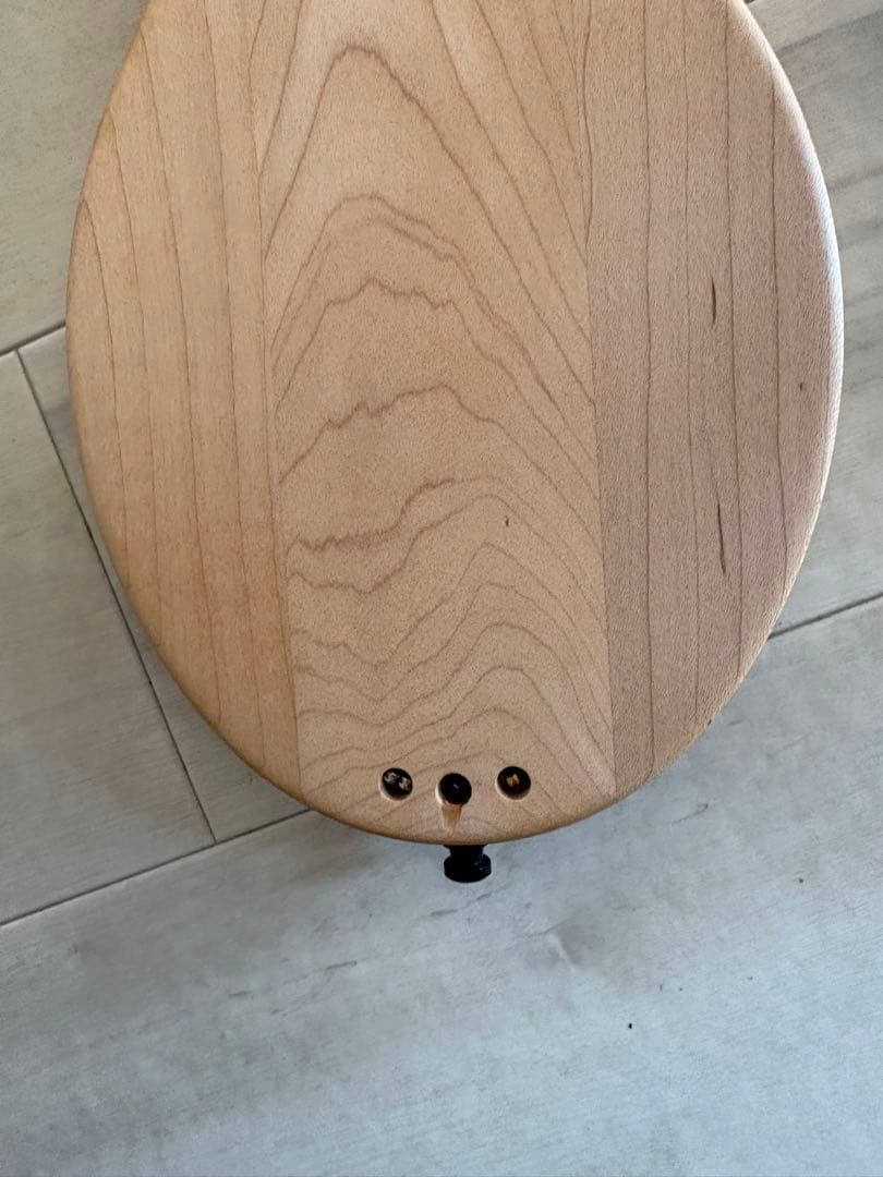 シーガルマーリン４弦ギター