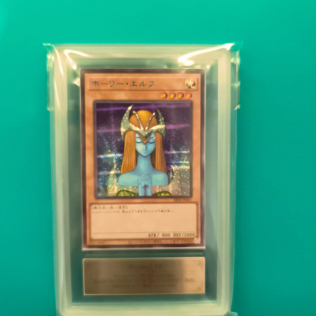 A*M様 ホーリー・エルフ 　ブルシク　ars10