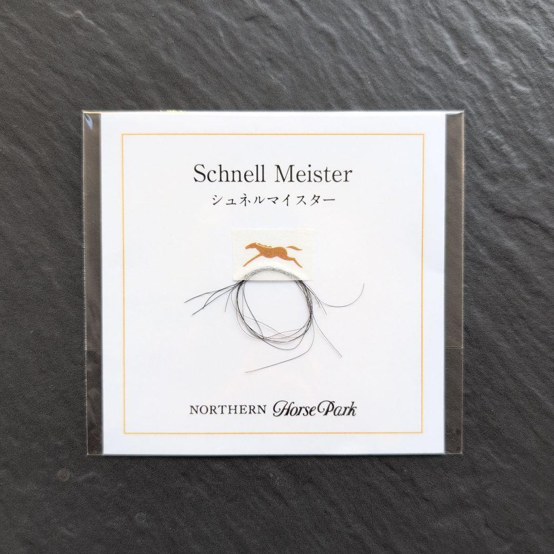 ☆競馬☆シュネルマイスター☆たてがみ☆ノーザンホースパーク