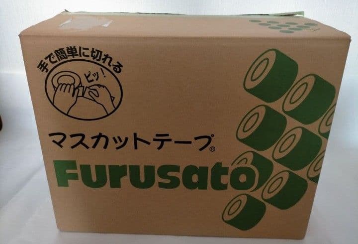 養生テープ 新品未使用 1箱