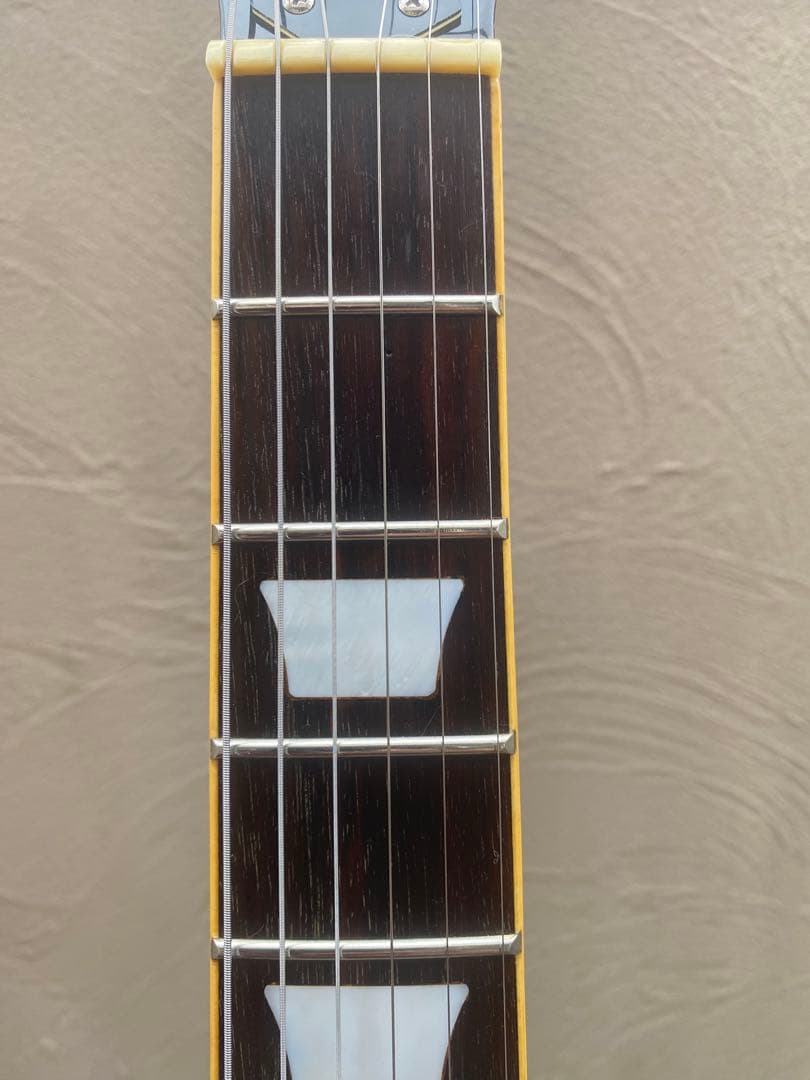 Photo Genic SG-250(フォトジェニック SGタイプ)