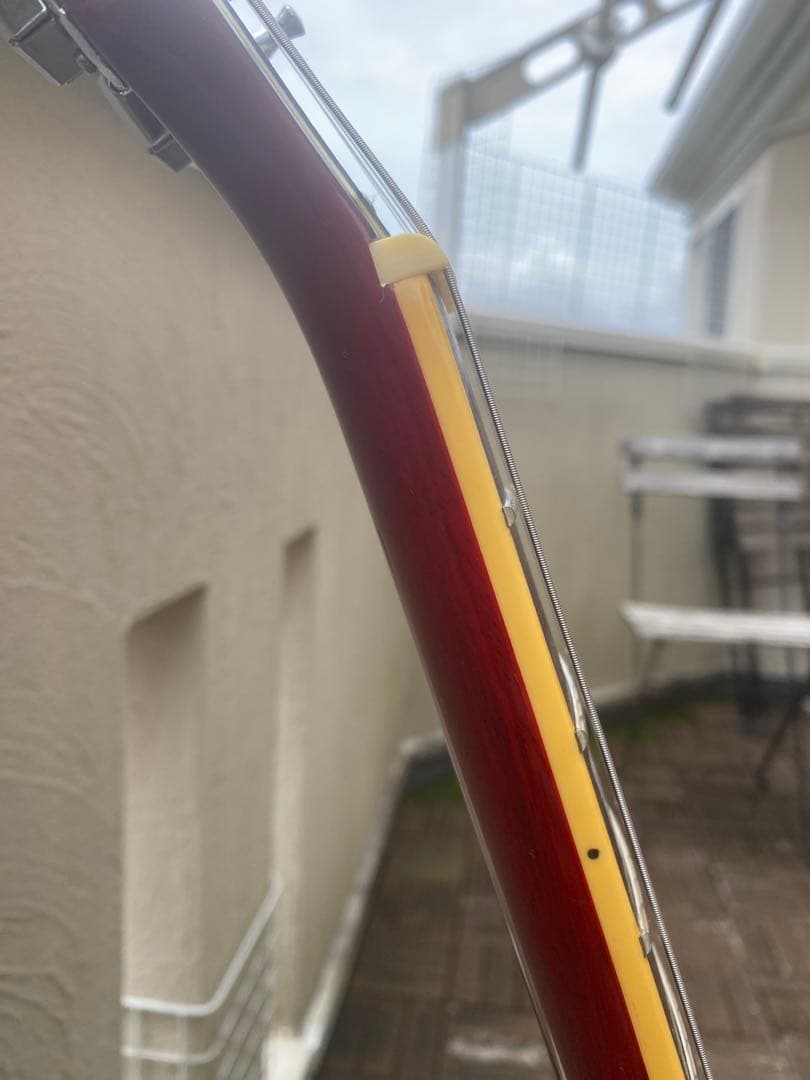 Photo Genic SG-250(フォトジェニック SGタイプ)