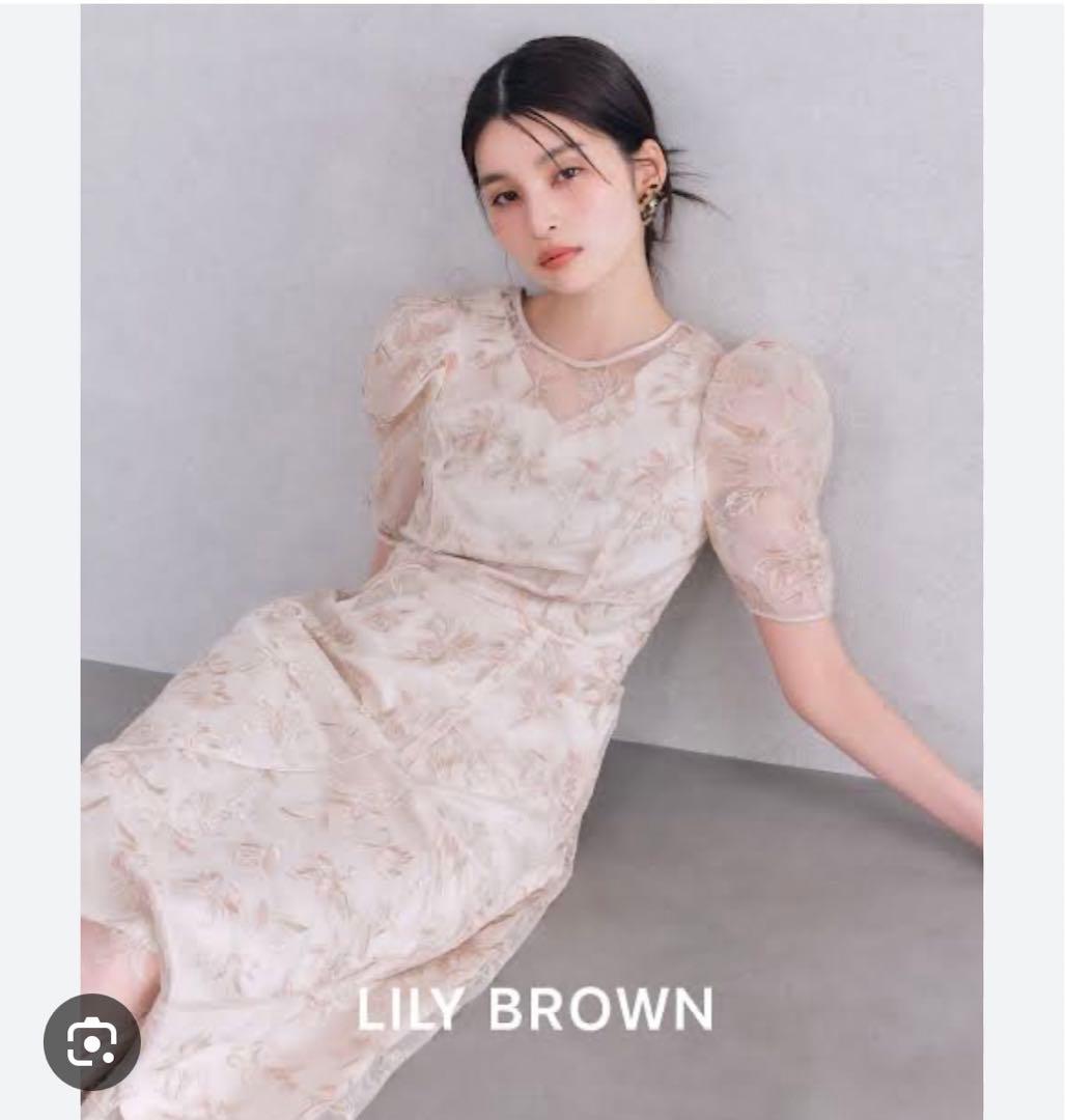 Lily Brown リリーブラウン　チュール刺繍ドレス