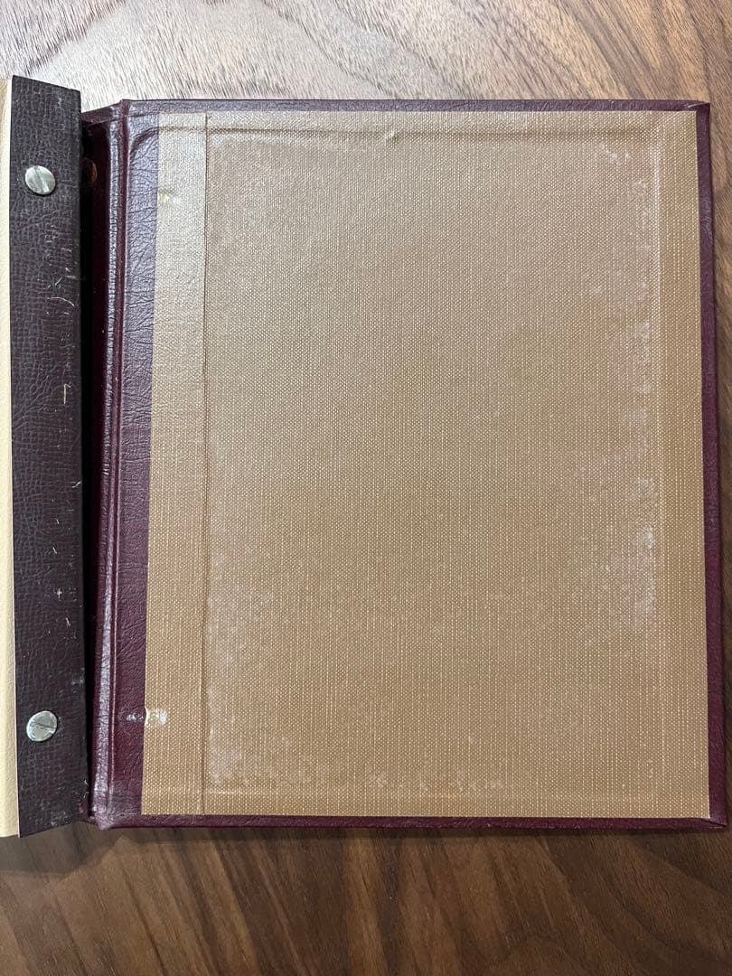 日本近代アルバム　一圓銀貨　貿易銀　五十銭銀貨など