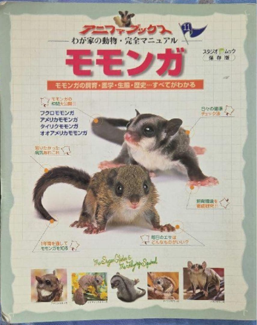 モモンガ 飼育マニュアル
