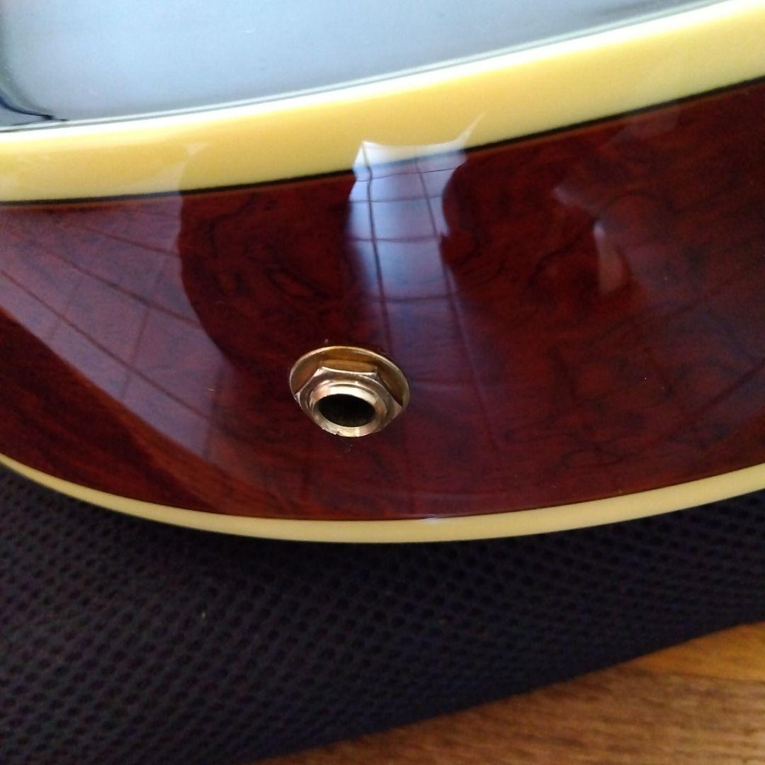 アイバニ―ズ　フルアコ　AK95―DBS―12―03　ソフトケ−ス付き