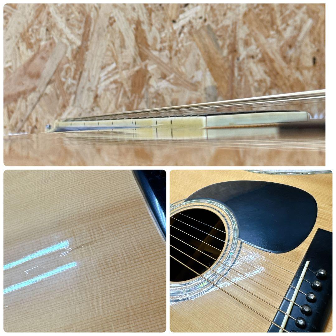 希少！MORRIS W-120 アコースティックギター TF 上位モデル