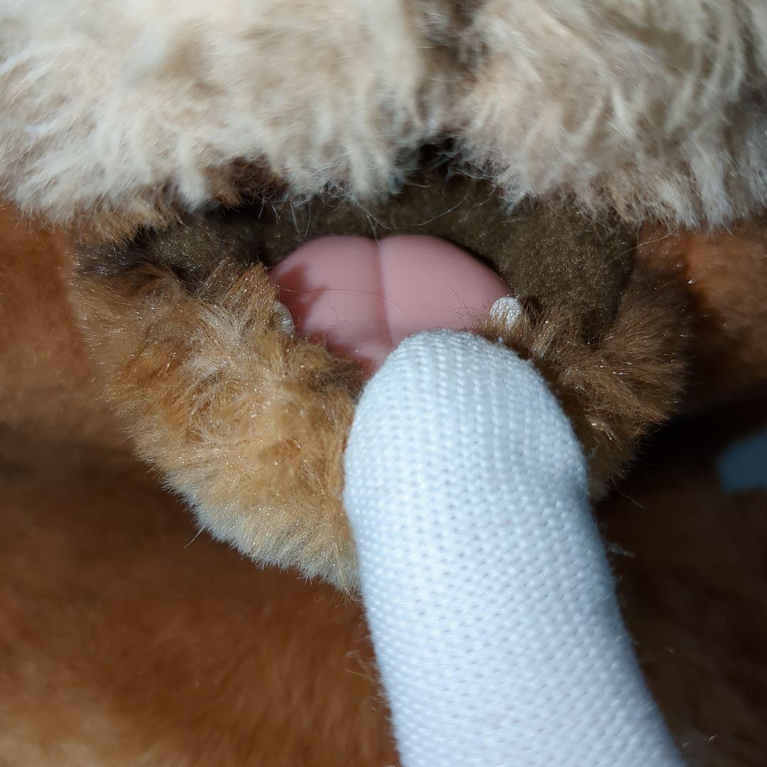 ファーリアル　こぐまのカビー