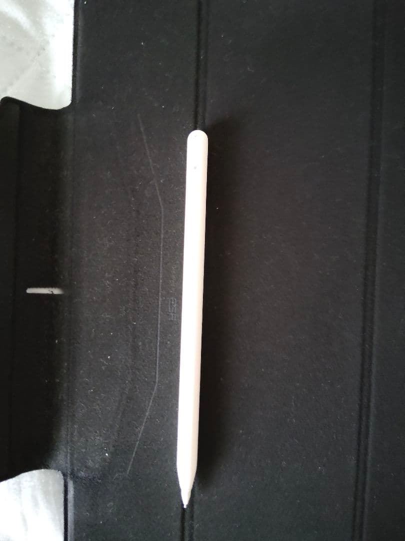 iPad Pro 12.9インチ (第5世代) 256GB Wi-Fi