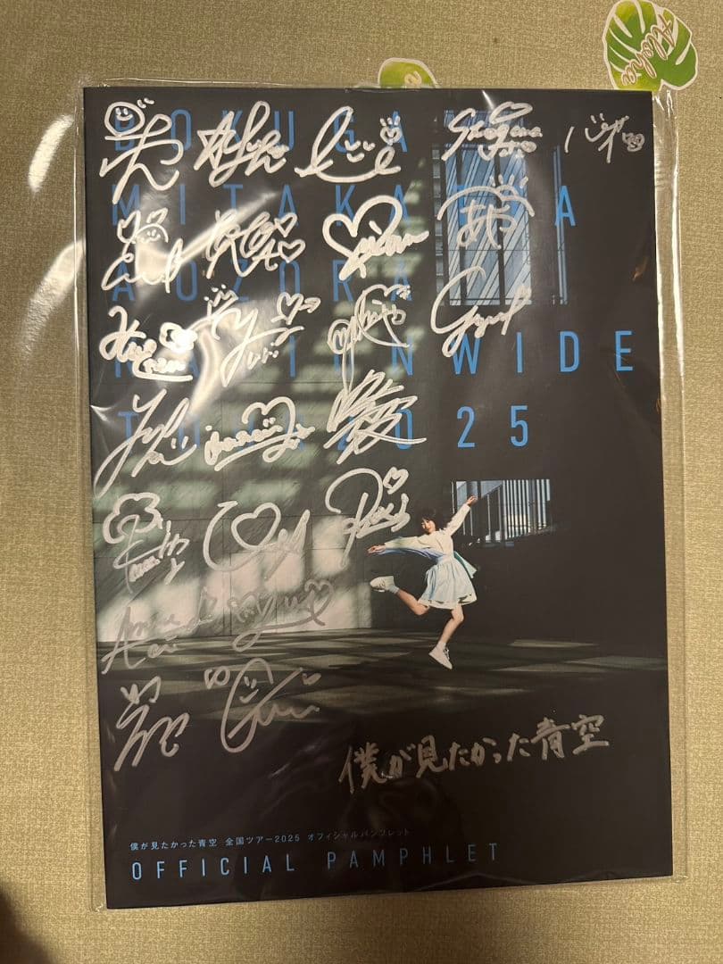 イ*ス様 僕が見たかった青空 23人直筆入りパンフレット