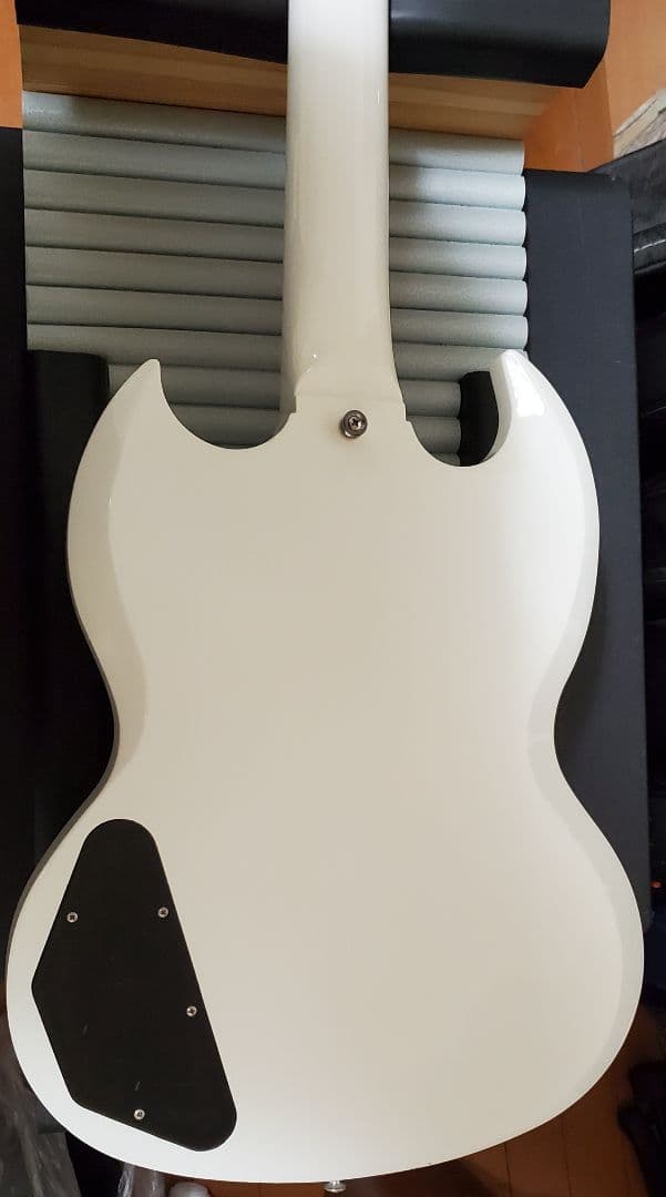 FGN NSG100-SW[カリマンタン・エボニー指板]