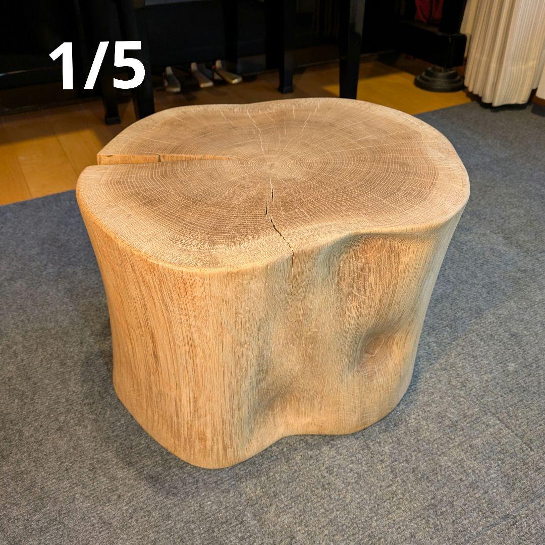 3104　　ミズナラ　水楢　天然木　切り株　丸太　輪切り　高さ約28㎝