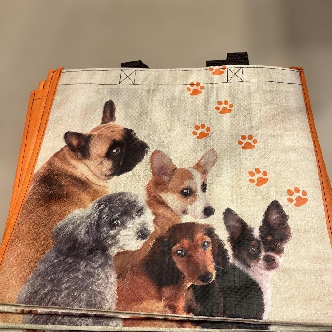 専用エコバッグ