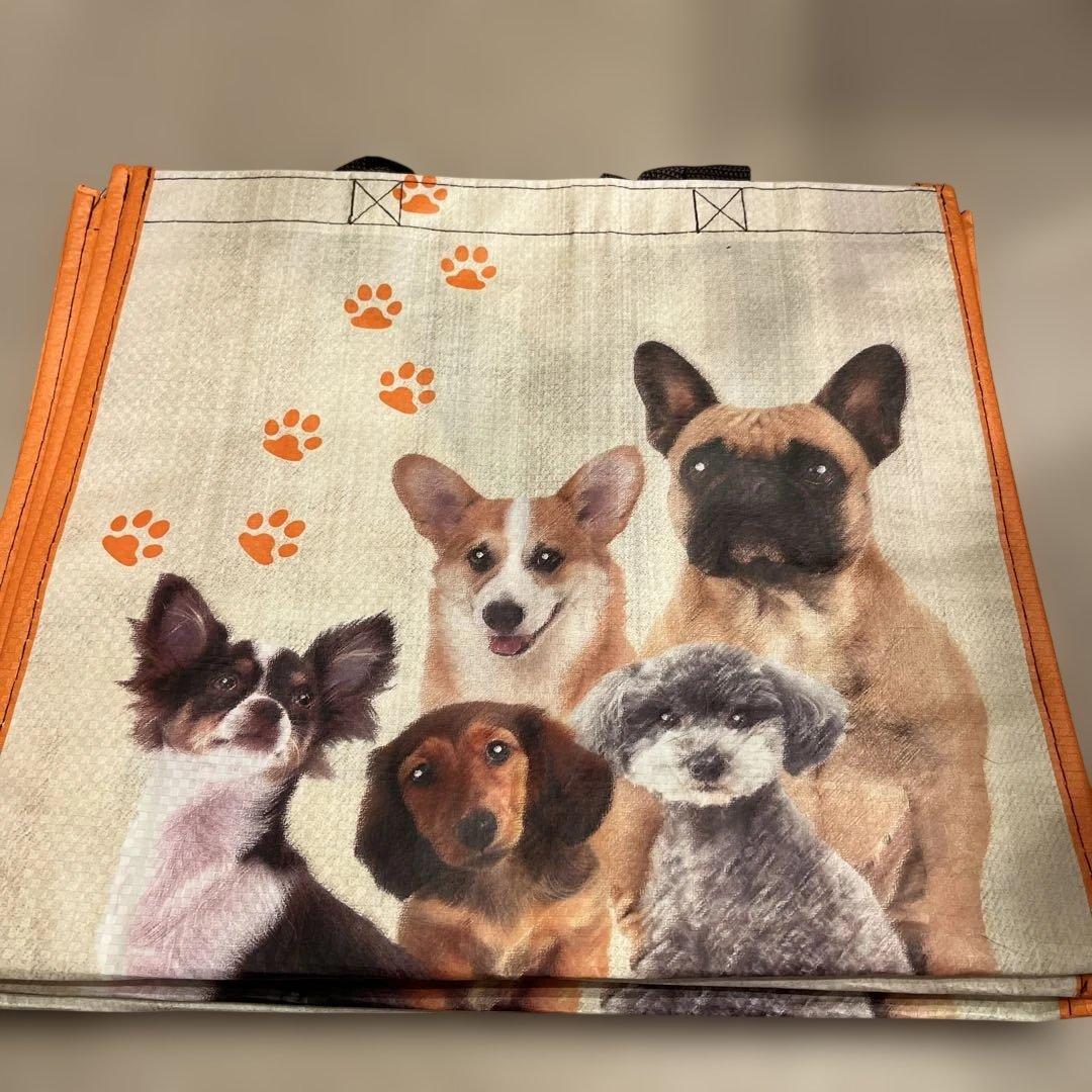 専用エコバッグ