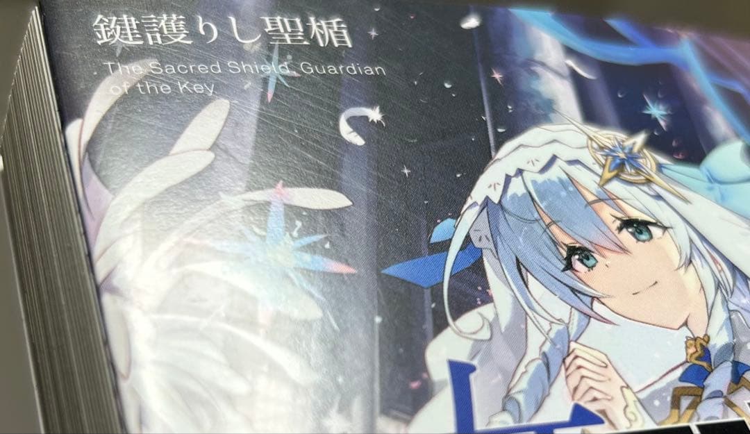 公女殿下の家庭教師 1-19巻セット