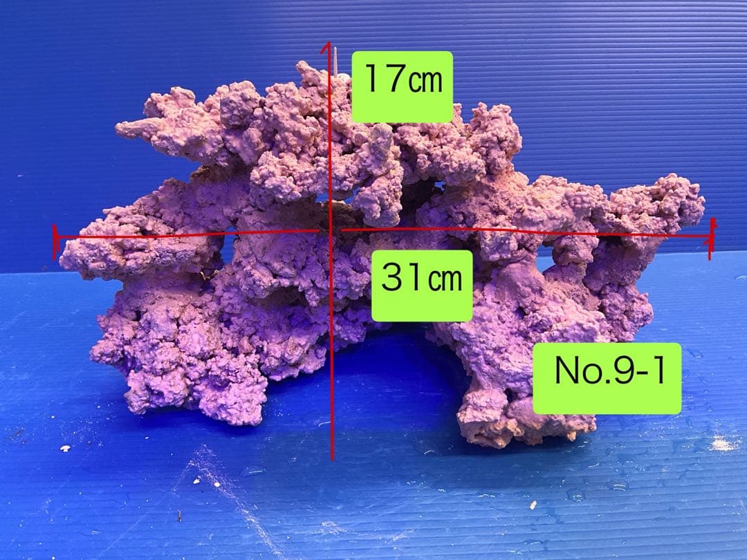 人工ライブロック　お魚たちの隠れ家　No.9-1CO2無害化処理済