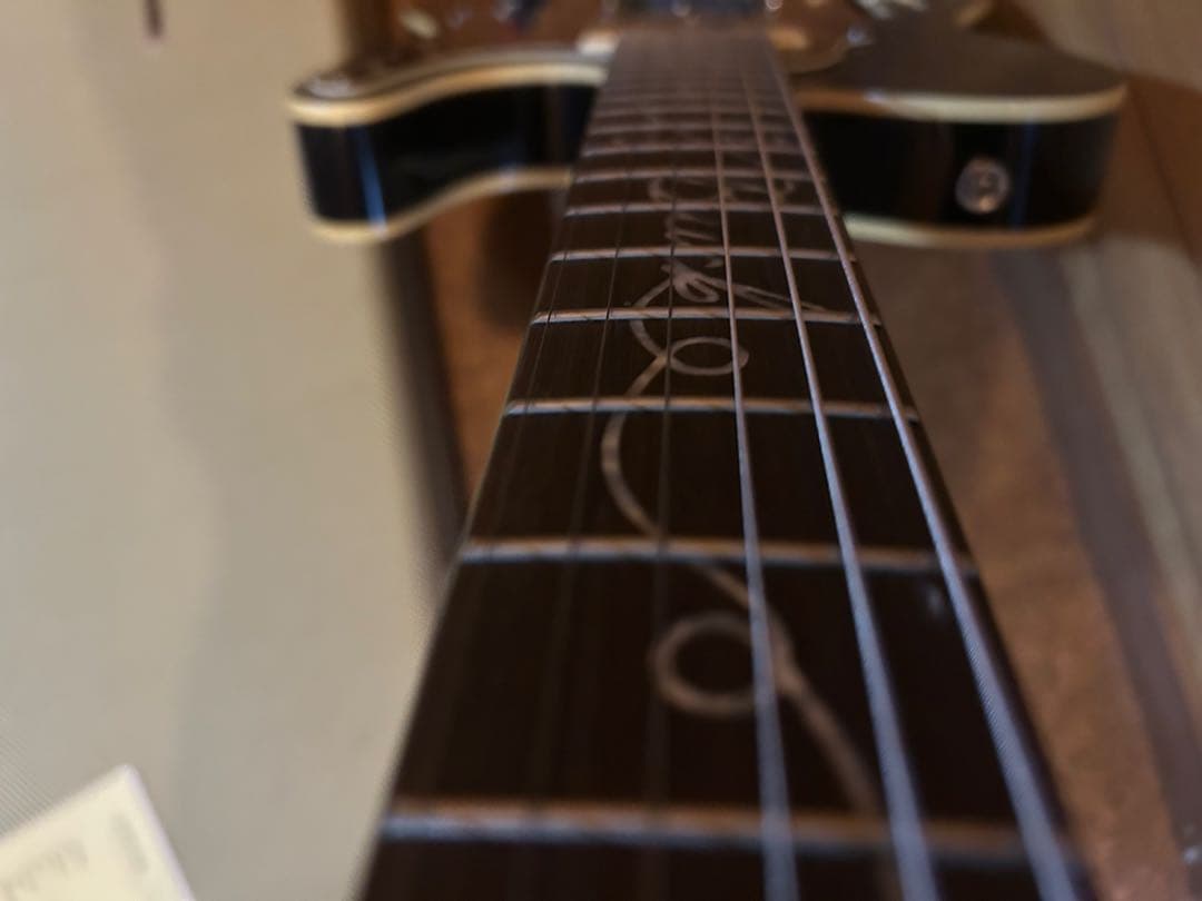 最終価格レア　Joe Doe Guitars Lucky Buck JDV001