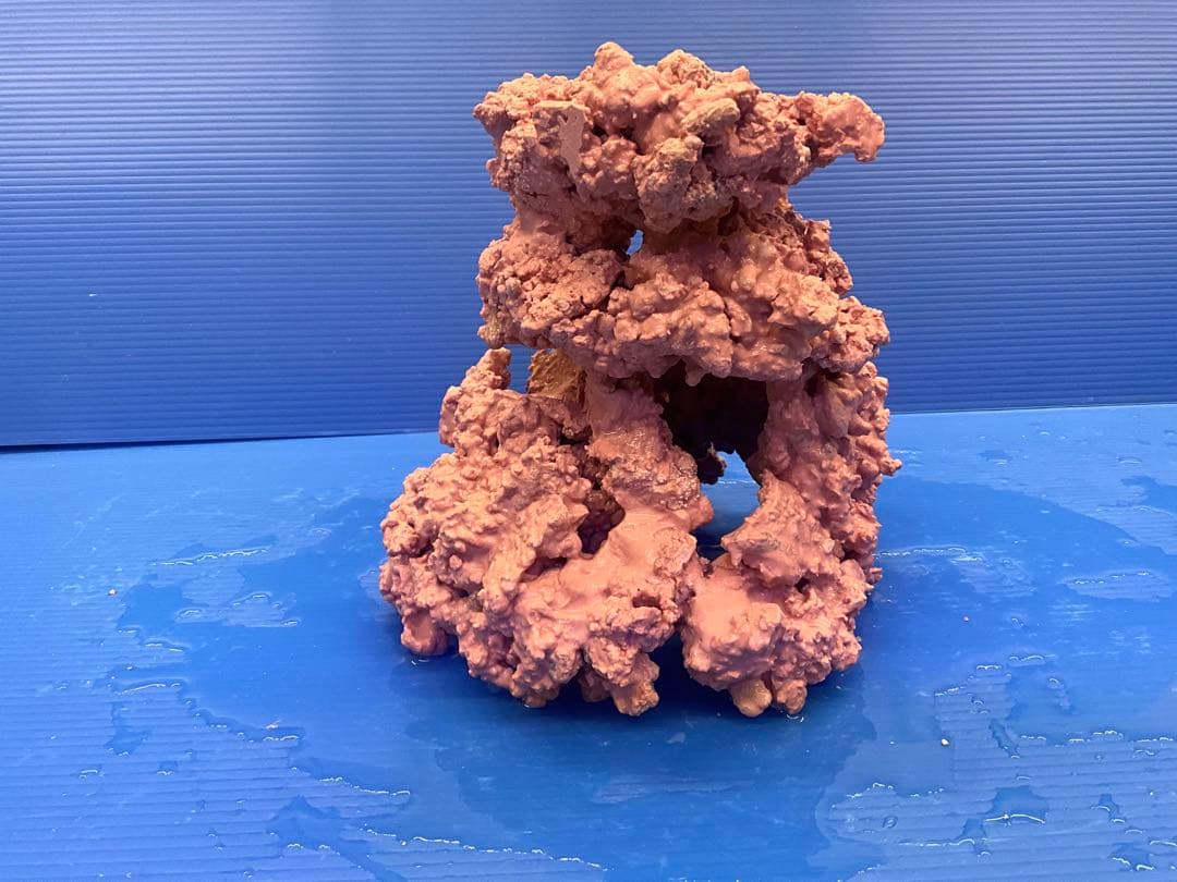 人工ライブロック. No.42. 無害化処理済