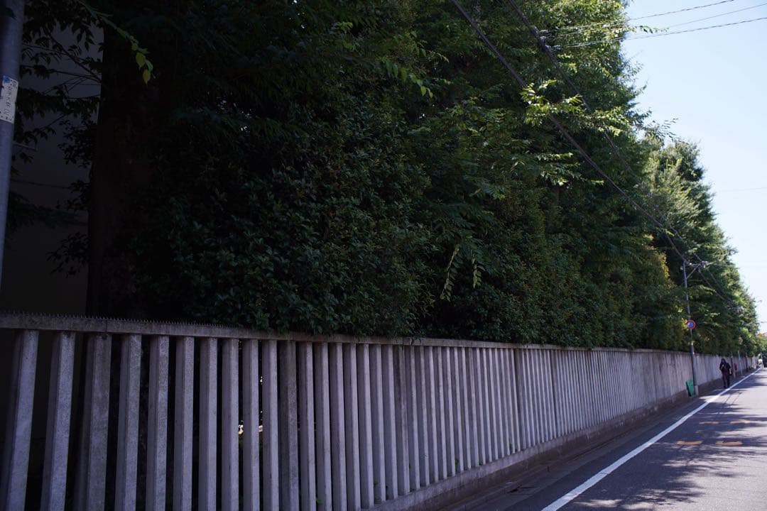 希少 AUTO mamiya sekor 28mm f2.8 M42