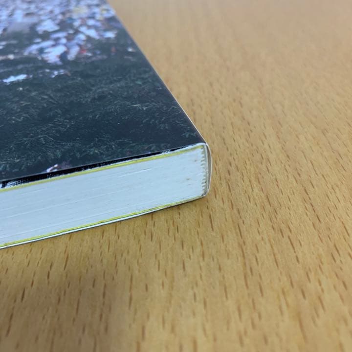 【希少！】人を集める なぜ東京ディズニーランドが\"はやる\"のか／堀 貞一郎(著)