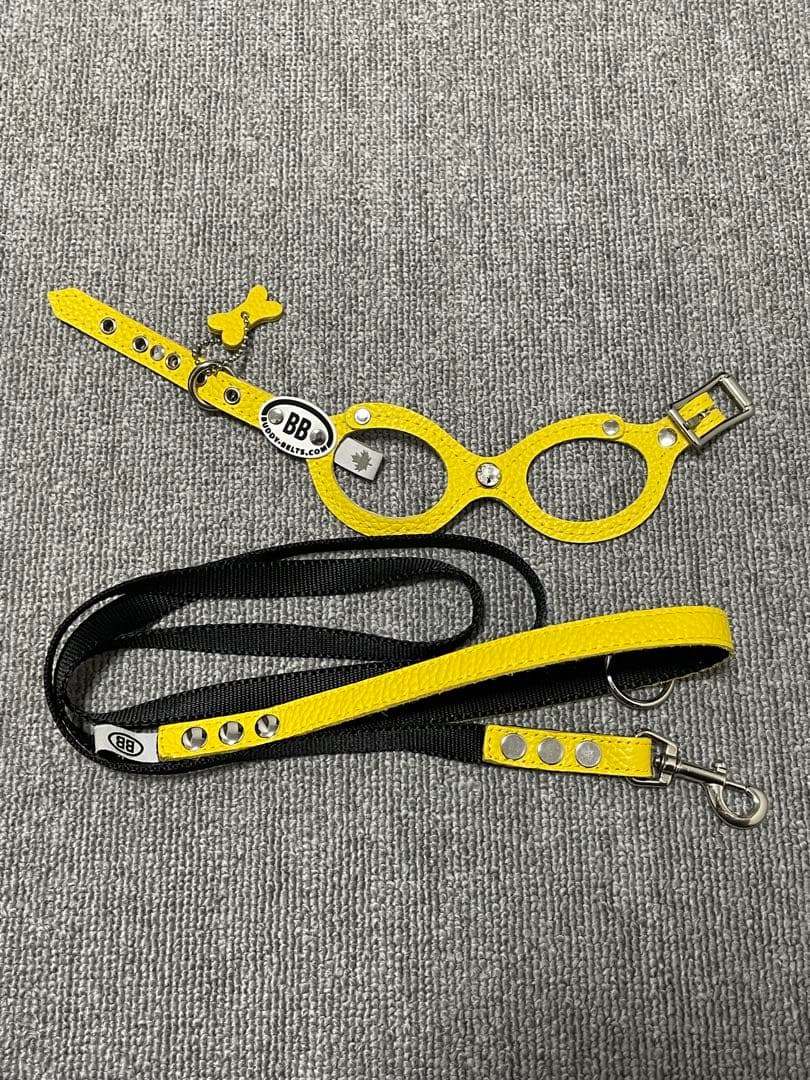 バディベルトカナリア1号ハーネス リード セット