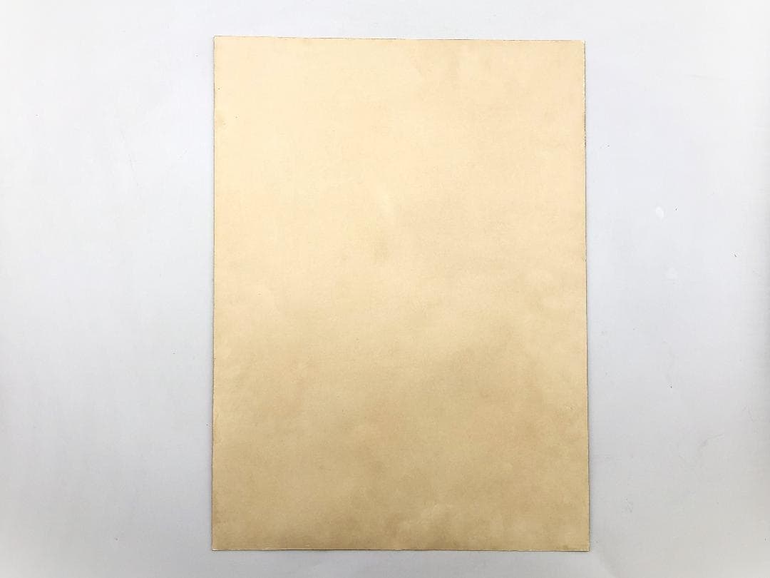 藤田嗣治　女性肖像 1923　肉筆水彩　額装