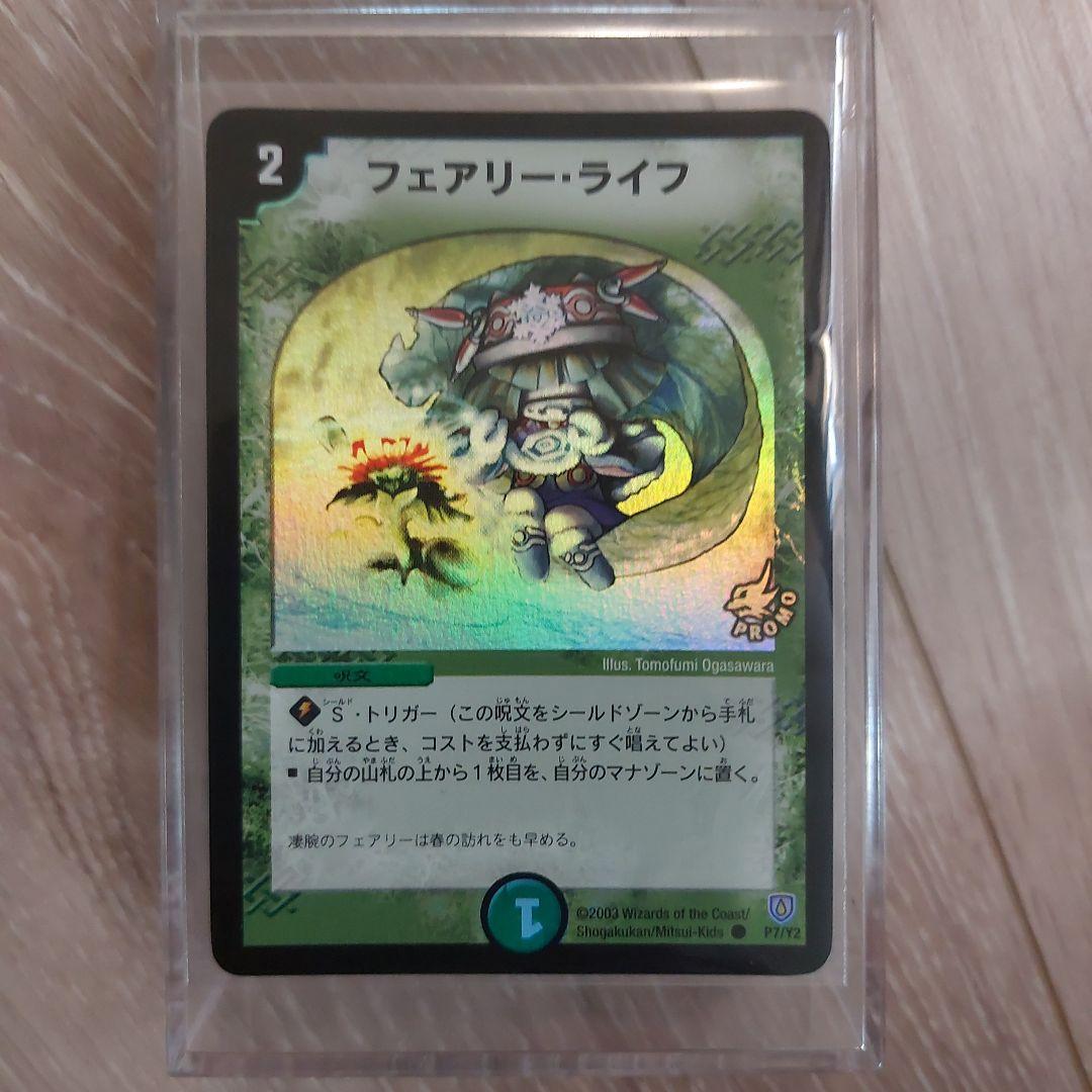 フェアリーライフ初期　プロモ