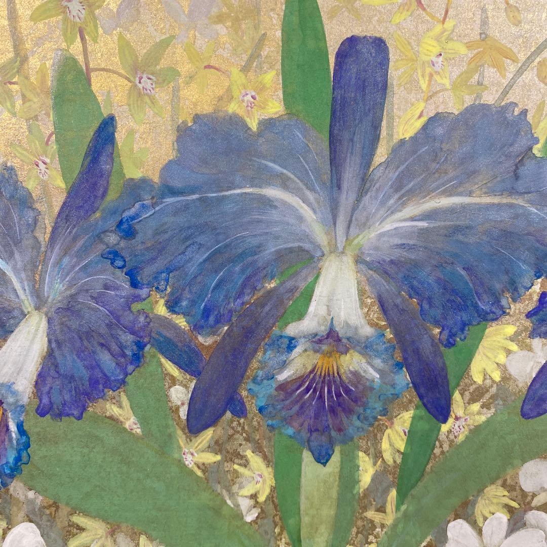 美品 掛け軸 鳥山玲作「華」菖蒲図 共箱 太巻き付 美術年鑑掲載