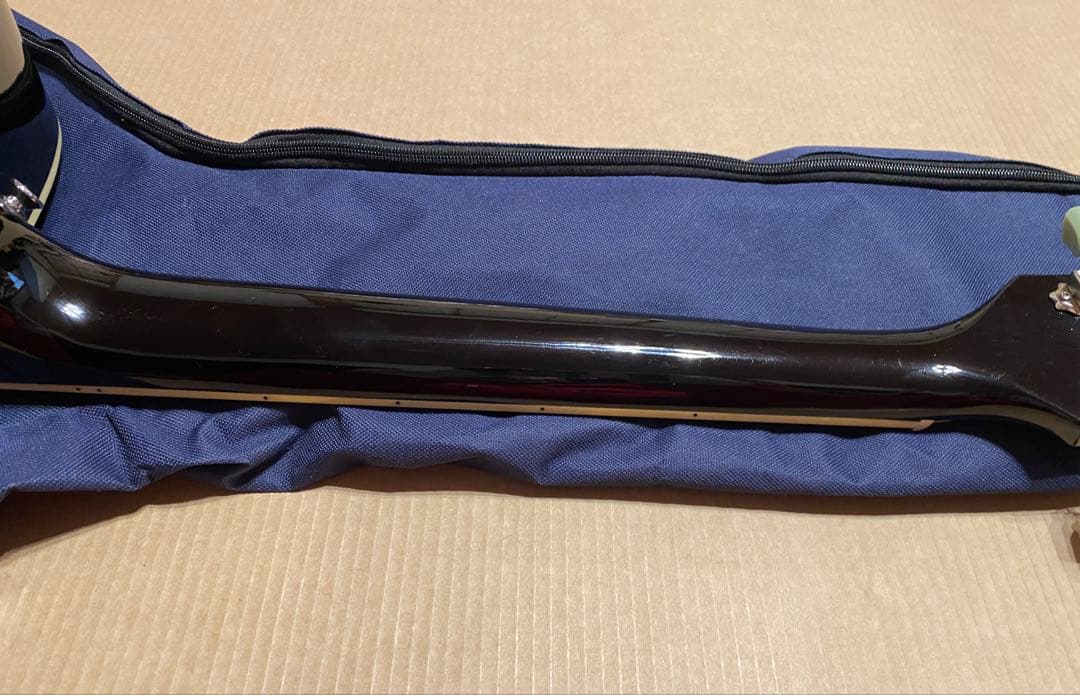 Epiphone DR-100 EB エボニー 純正ケース付