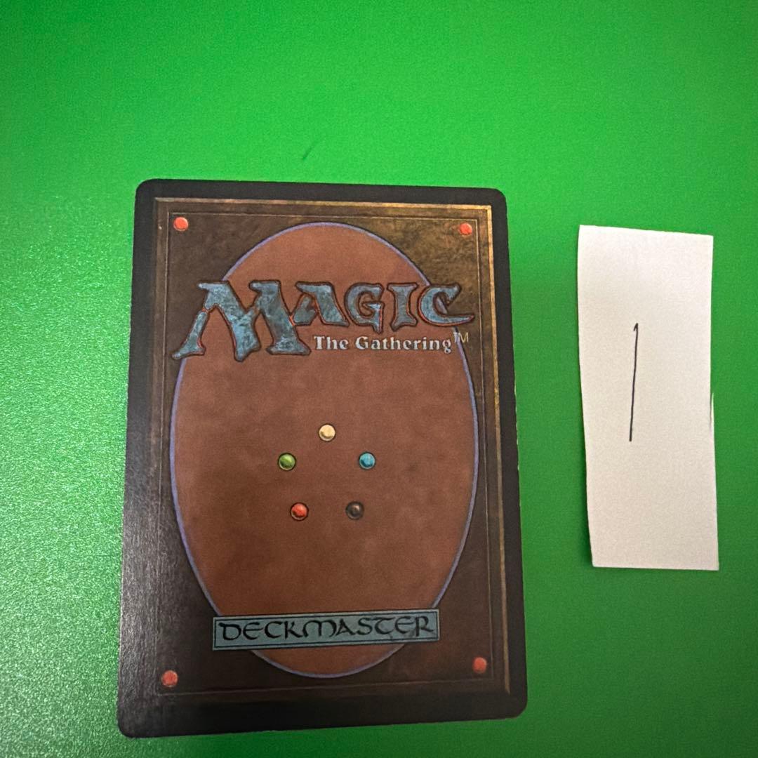 MTG Tropical  英語版