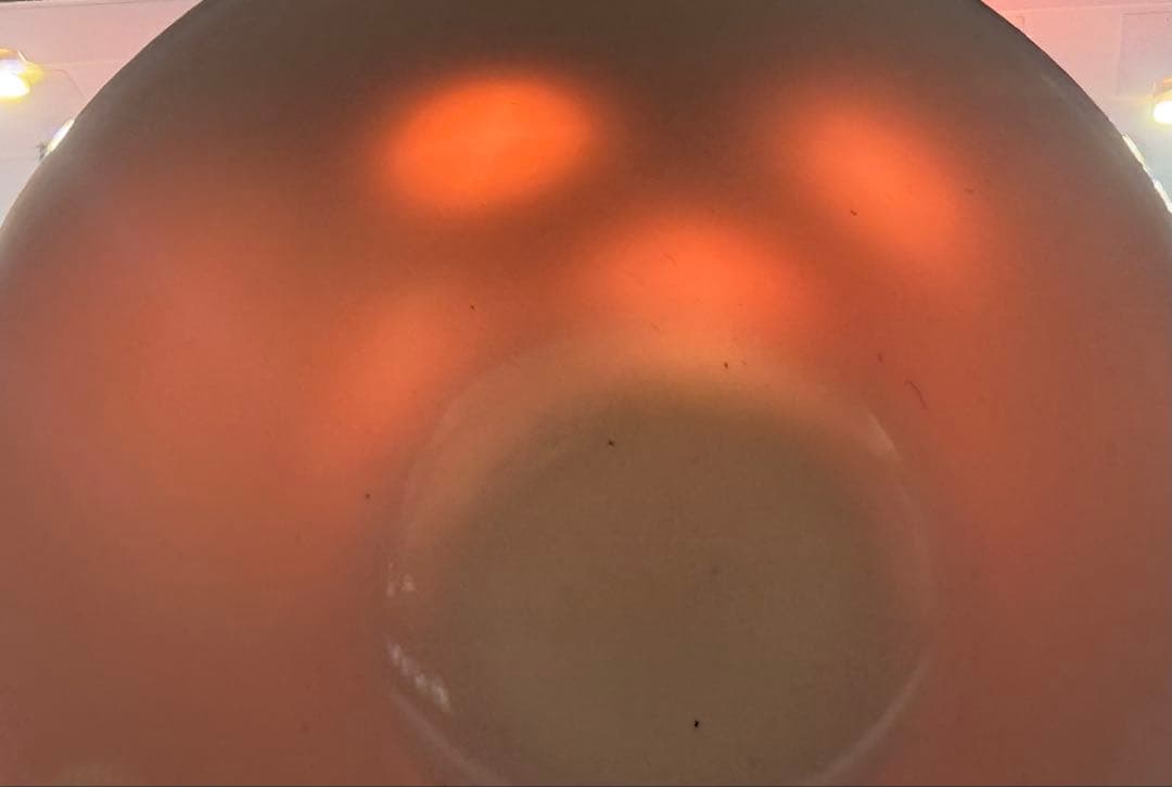 江戸　古清水　紅釉小杯ペア　亀水作　高級茶器　殻手　送料込み250819