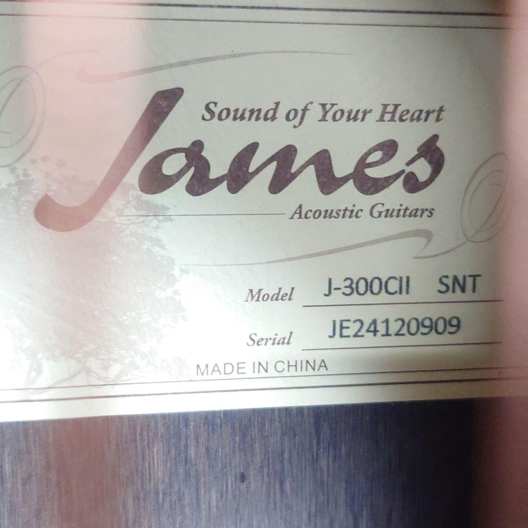 James J-300C11 SINT アコースティックギター