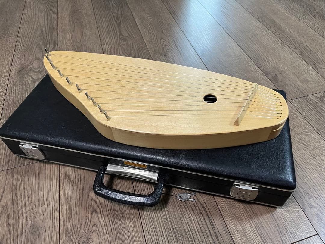 【最終値下】ゲルトナーカンテレ10弦